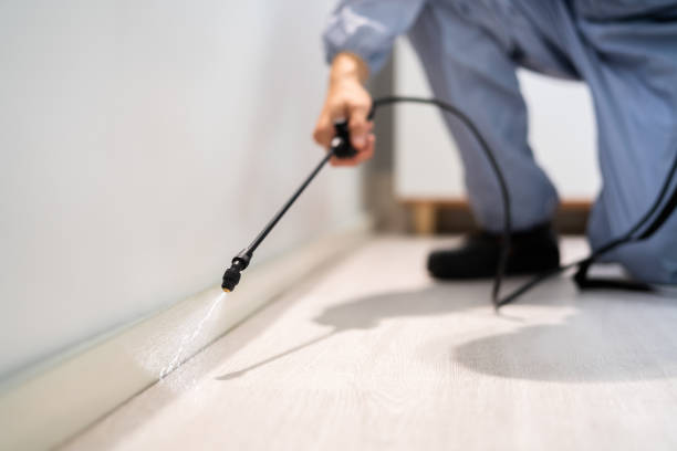 Licensed Termite Control service in Garrison, TX - Nex Pest Control