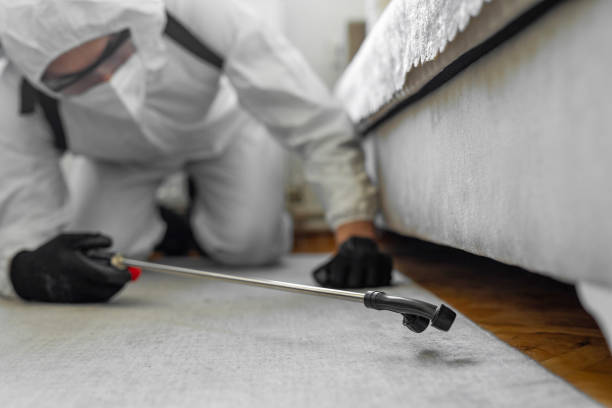 Professional Termite Control technician working in Garrison, TX