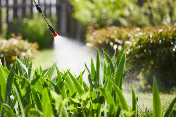 24/7 Emergency Termite Control experts in Garrison, TX