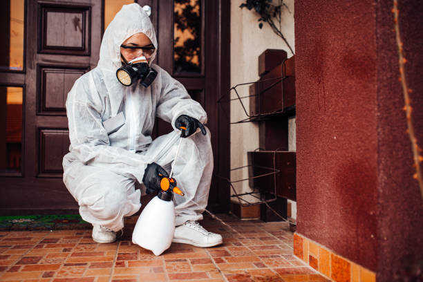 Reliable Termite Control contractor in Garrison, TX by Nex Pest Control