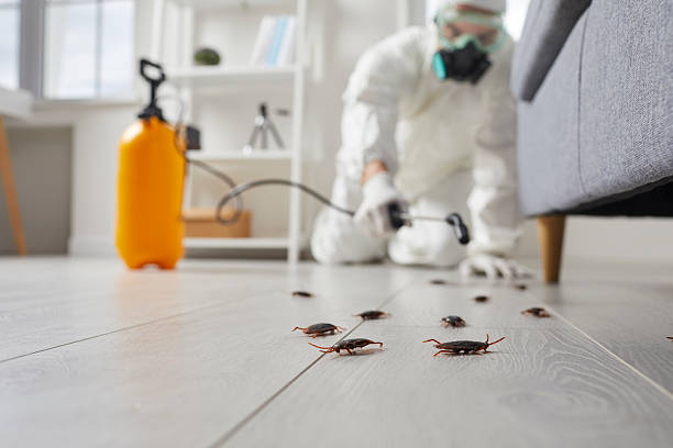 Affordable Termite Control solutions in Garrison, TX