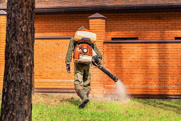Top rated local Termite Control specialists in Garrison, TX